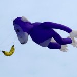 Monkey