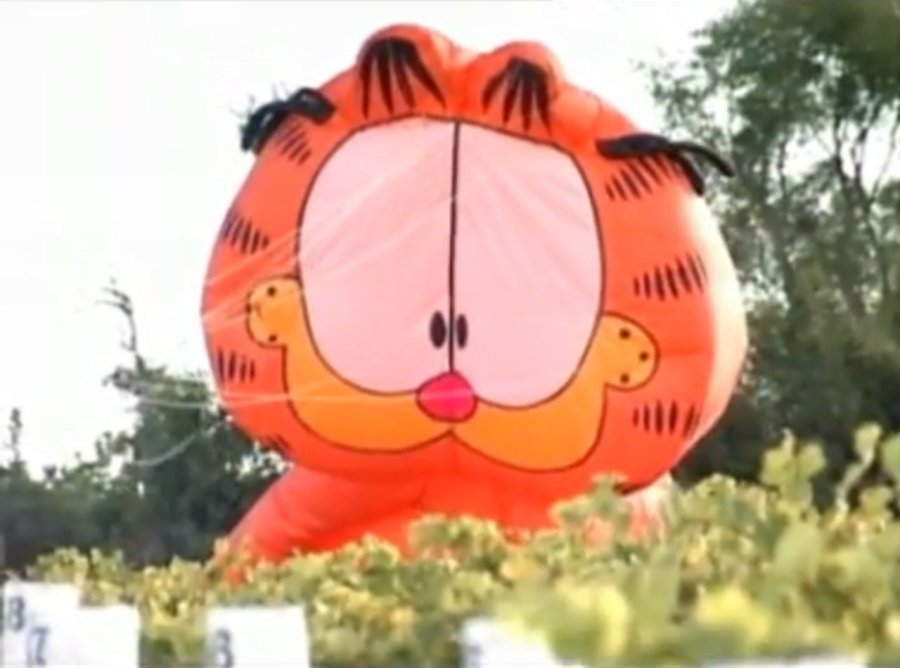 Garfield geting ready to fly Garfield geting ready to fly